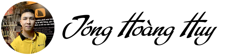 tonghoanghuy website logo 9